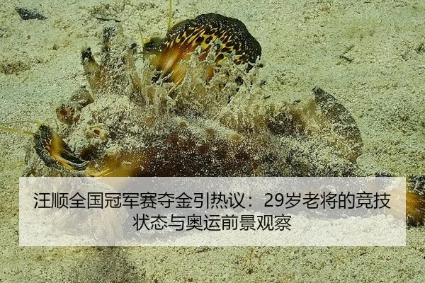 汪顺全国冠军赛夺金引热议：29岁老将的竞技状态与奥运前景观察